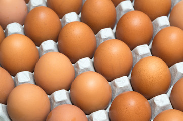 egg isolated on white background