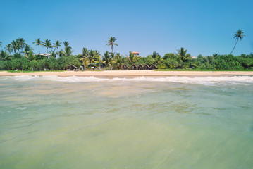 Beautiful wave in the ocean 