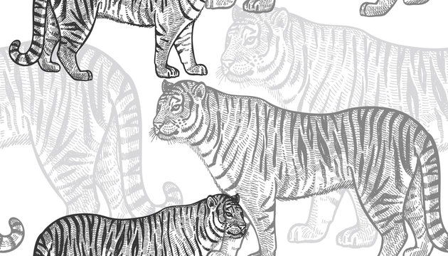Seamless pattern with tiger