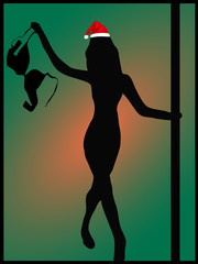 Framed Female Pole Dancer with a Santa Hat Holding a Bra