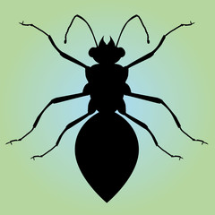 
A silhouette of an ant