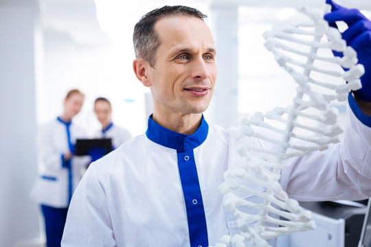 Molecule model. Portrait of thoughtful happy male  scientist who working with DNA model while looking at it and posing against blurred background 