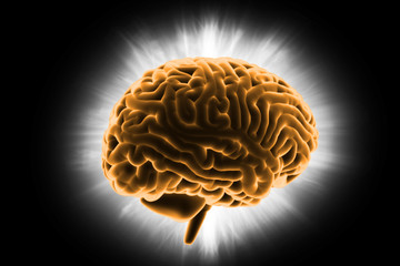 3d rendered  brain in colour background