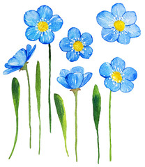 Spring flowers watercolor painting on white background