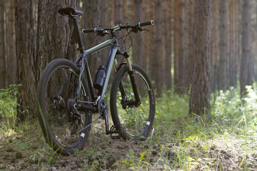 Fototapeta na wymiar Bicycle in the woods