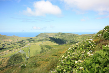 

Im Landesinneren der Insel Flores,  der portugiesischen Inselgruppe der Azoren im Atlantik. 
