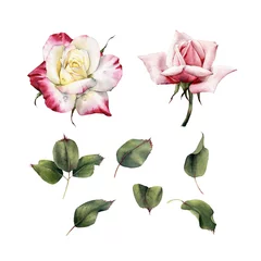Fototapete Rosen Rosen und Blätter, Aquarell, können als Grußkarte, Einladungskarte für Hochzeit, Geburtstag und andere Urlaubs- und Sommerhintergründe verwendet werden.