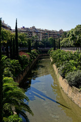 Fototapeta na wymiar Palma De Mallorca - Parc de la Feixina