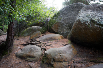 Forêt de Fontainebleau