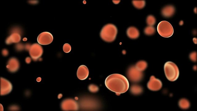 appearance and division of blood cells. medical background. 3d animation. seamless loop.