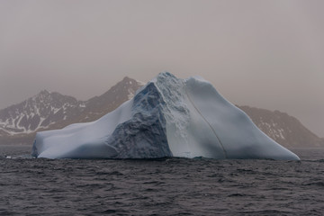 Iceberg