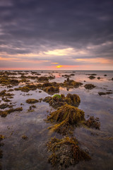 Sunrise at low tide sea