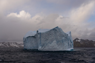 Iceberg