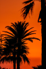 Obraz na płótnie Canvas Sunset near of the beach of San Fernando