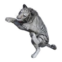 3D Rendering White Tiger on White