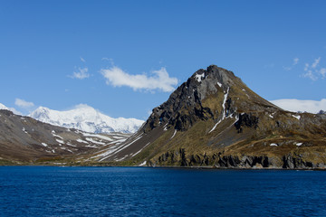 South Georgia landscape Ocean Harbour
