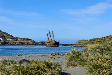 Bayard wreck in Ocean harbour on South Georgia