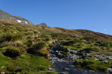 South Georgia landscape Ocean Harbour