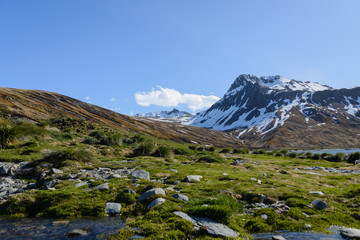 South Georgia landscape Ocean Harbour