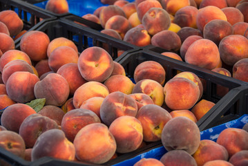 Basket with peaches at the market