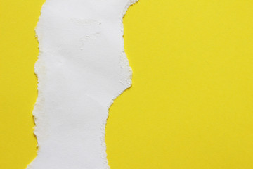 paper