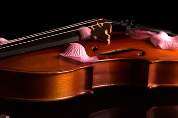 The violin is stringed musical instrument, and rose petals on top, isolated on black