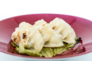 Chinese food Fried dumplings on plate