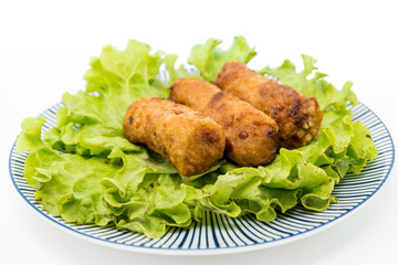 Homemade Spring rolls on a plate