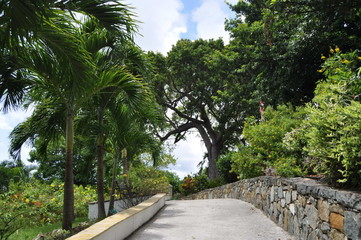 Fototapeta na wymiar Charlotte Amalie, Saint Thomas, US Virgin Islands