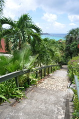 Fototapeta na wymiar 99 Steps in Charlotte Amalie, Saint Thomas, US Virgin Islands