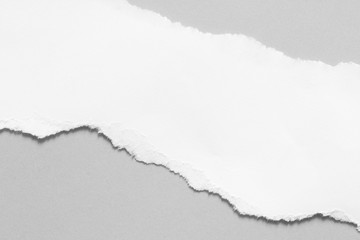 paper tear sheet gray background with copy space
