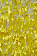 Yellow ribbon