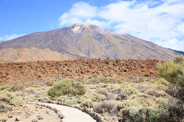 El Teide Volcano, Tenerife Island, Canary Islands, Spain