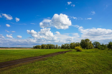 Fototapeta na wymiar The expanse of fields and the rural road is the sight of the Russian plain.