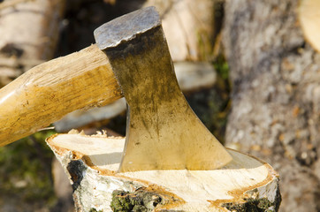 Siekiera © KrólestwoNauki