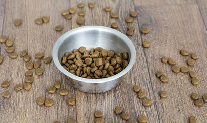 dry dog food in bowl  for healthy  dog treats 