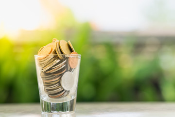 Money and saving concept. Close up of a shot glass filled with coins with green nature background.