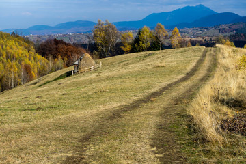 Fototapeta na wymiar Autumn in Moeciu village, Transylvania, Romania