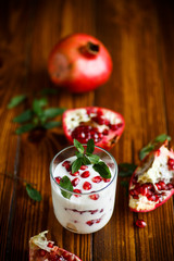 sweet homemade yogurt with pomegranate