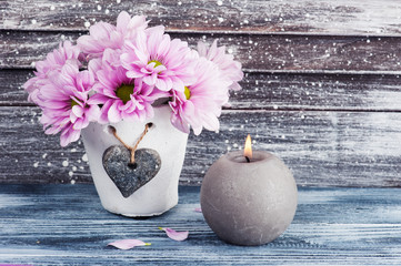 Pink chrysanthemum in concrete pot with candle