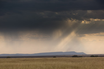 Tansania - Nationalpark Serengeti