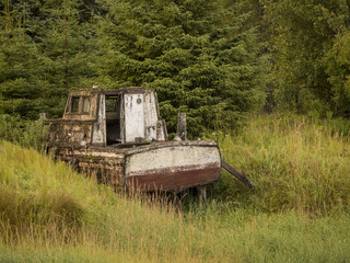 Neglected and Abandoned - Gustavus AK