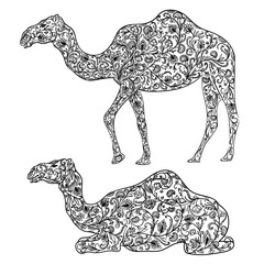 Camel decorated with oriental ornament. Vintage vector illustration