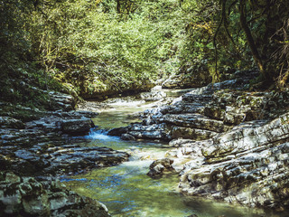 Fototapeta na wymiar mountain canyon river reflection stream in the tropical forest