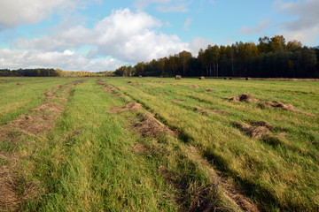 Hay on a green meadow