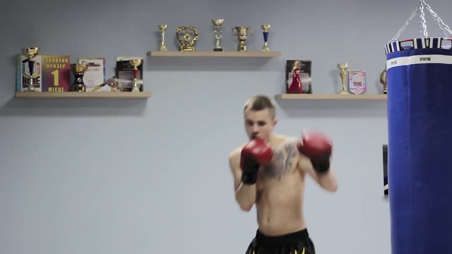 guy boxer trains in the gym