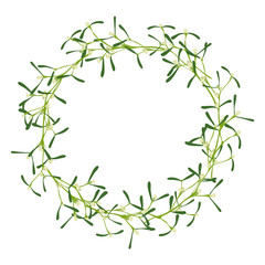 Mistletoe wreath. Vector illustration with isolated hand drawn mistletoe twigs on white background.