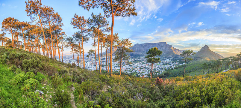 Panorama Aufnahme von Kapstadt mit Tafelberg vom Signal Hill in der Abendd&auml;mmerung mit beleuchteter City fotografiert in S&uuml;dafrika im September 2013