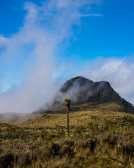 Montañas del Quindio.