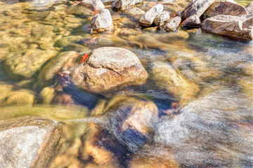 Closeup of shallow rock stream with running water in autumn with red orange leaf foliage on stone